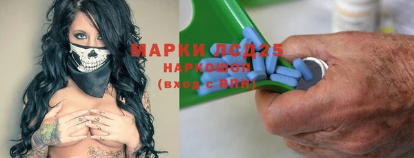 apvp Верея
