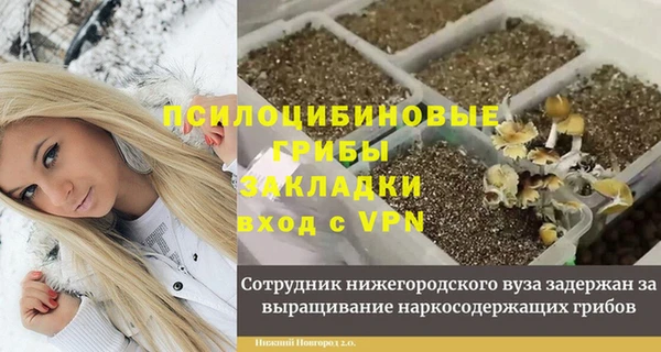 хмурый Верхний Тагил