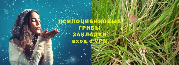 хмурый Верхний Тагил
