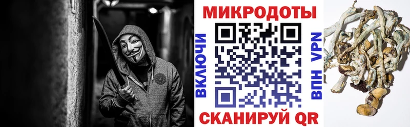 Псилоцибиновые грибы Psilocybine cubensis Лысьва